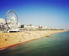 布莱顿冲刺阶段遗憾出局，志在法甲名次提升，管理层满意，临场指挥获称赞的简单介绍