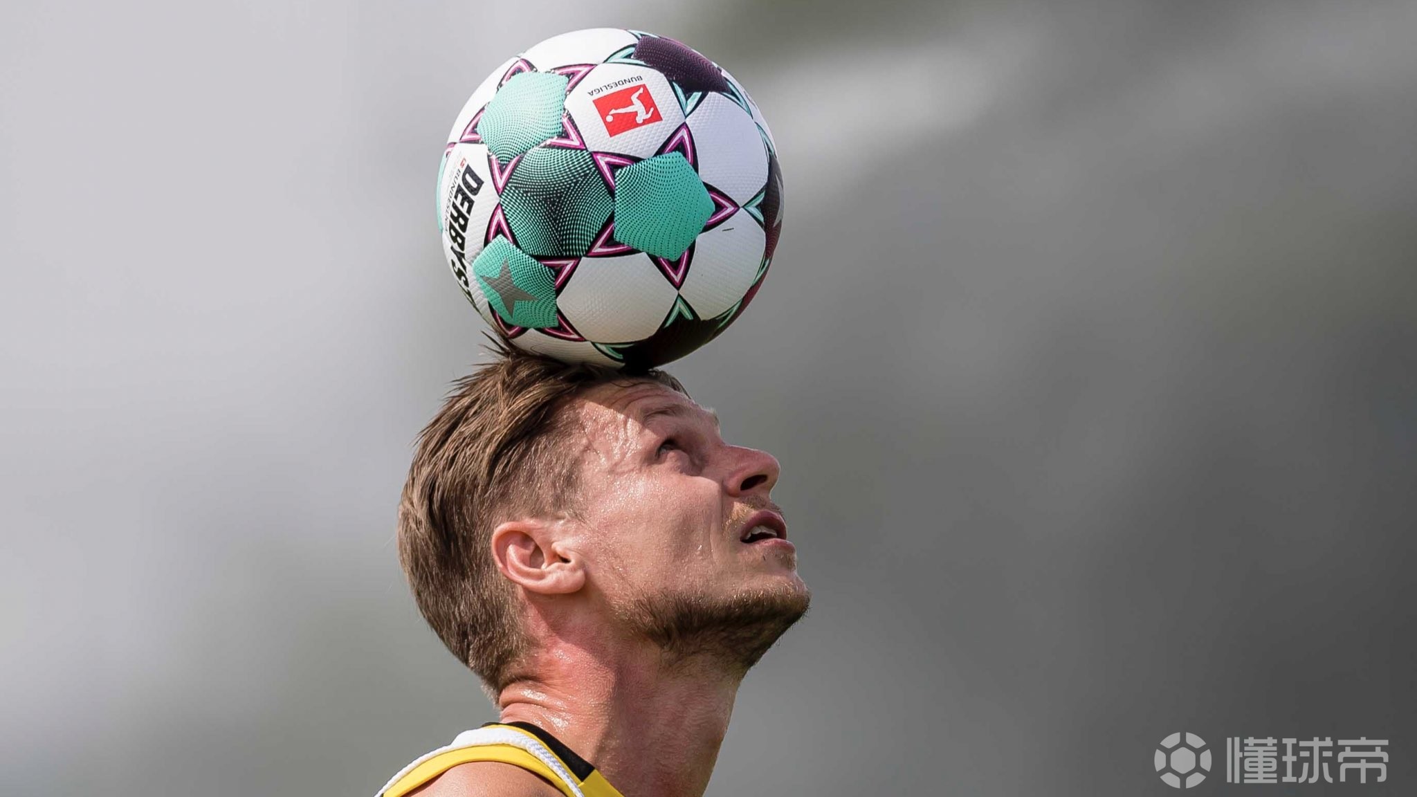  纽约尼克斯阵容最新 