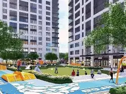 社区盾赛程吃紧；山东泰山清晨篮板制胜；震撼外界；心理建设被强调(夏季行动打出声势防出成效治出平安)