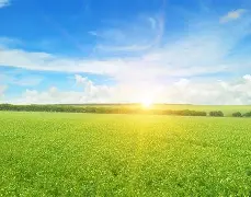  菲尼克斯太阳队最新消息最新 